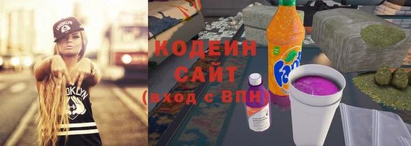 прущие грибы Новодвинск