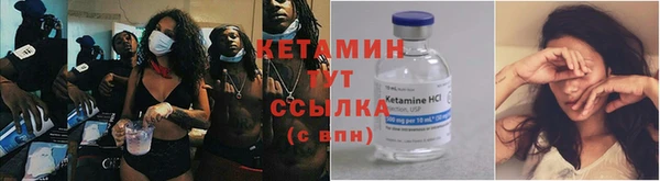 прущие грибы Нягань