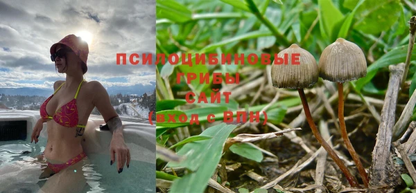спайс Няндома