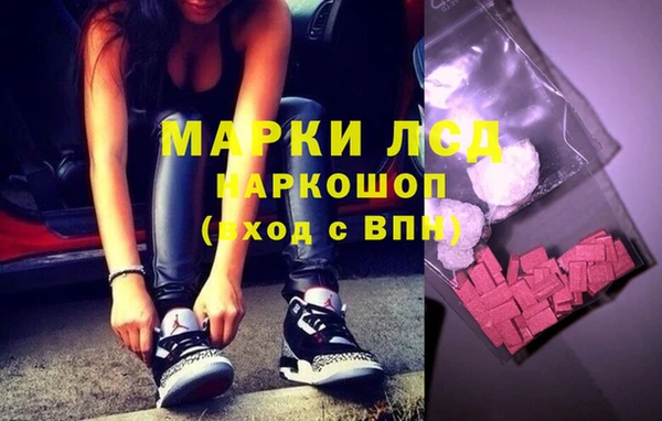 прущие грибы Нягань