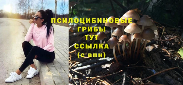 спайс Няндома