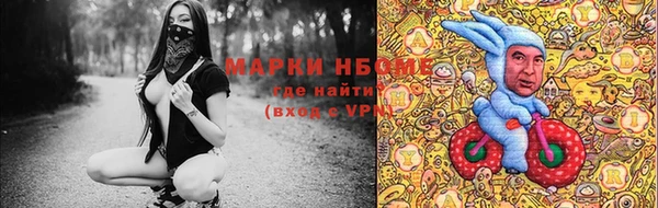 прущие грибы Нягань