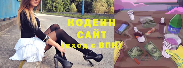 спайс Няндома
