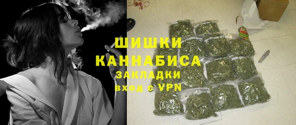 прущие грибы Нягань